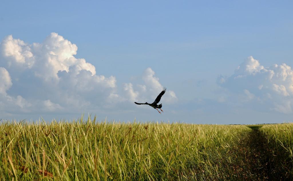 Bamurru Plains Point Stuart Exteriér fotografie
