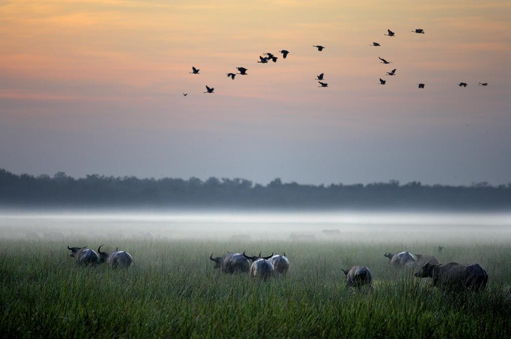 Bamurru Plains Point Stuart Exteriér fotografie