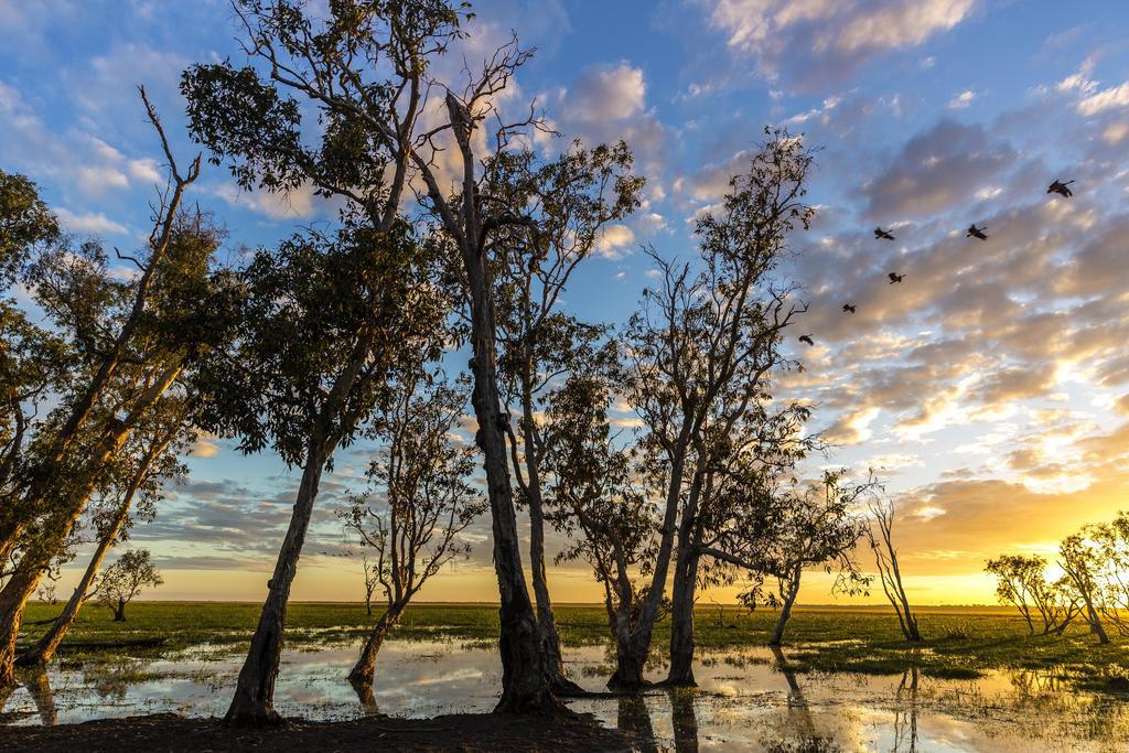 Bamurru Plains Point Stuart Exteriér fotografie